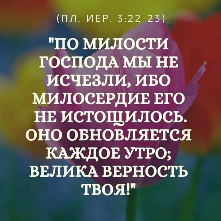 Милость обновляется каждое утро. По милости господа мы не исчезли ибо милосердие. милость твоя обновляется каждое утро библия. господь милости. милость его обновляется каждое.