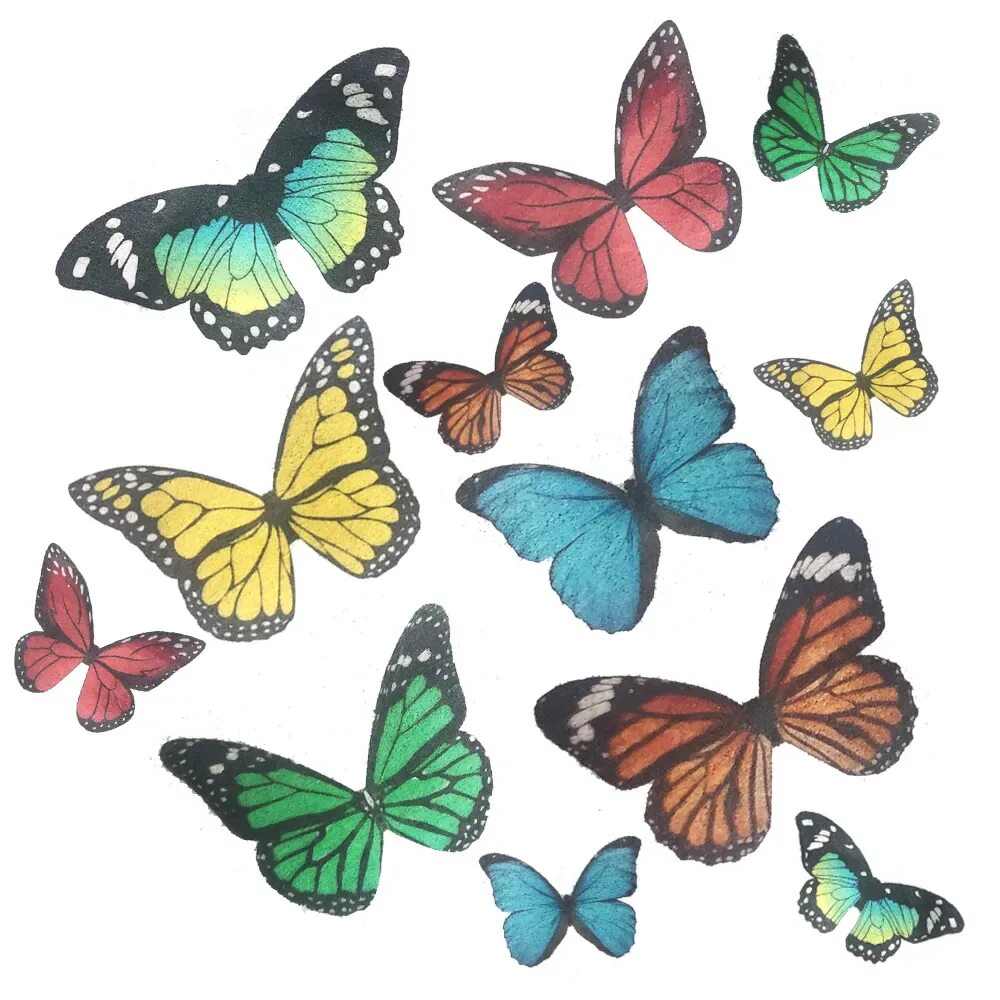 Купить вафельных бабочек. Вафельные бабочки. Бабочки для печати. Вафельные большие бабочки. Торт с вафельными бабочками.