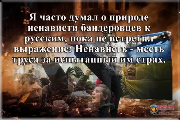 Высказывания о чеченцах великих людей. Русский русскому рознь. Ненависть народа. Ненависть русских к черножопым. Ненависть месть труса за испытанный страх.