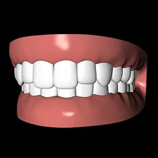 Mouth 3