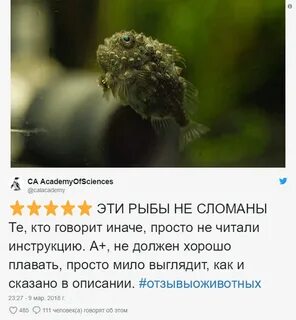 Обитатели отзыв