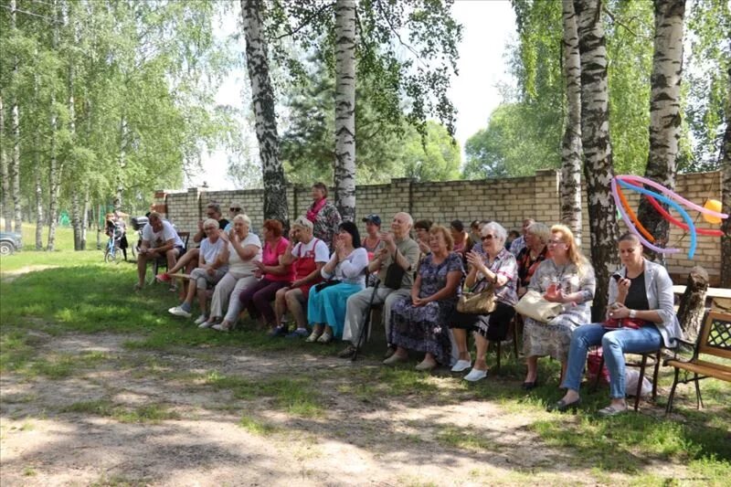 Белая Березка поселок. Белая берёзка Брянская область. Белая Березка школа. Поселок Березка Петушинский район. Березка школьная