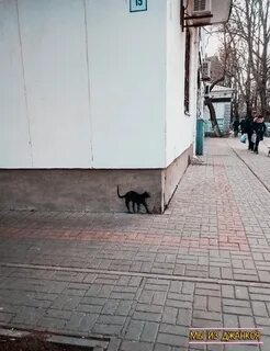 Мы из джанкоя