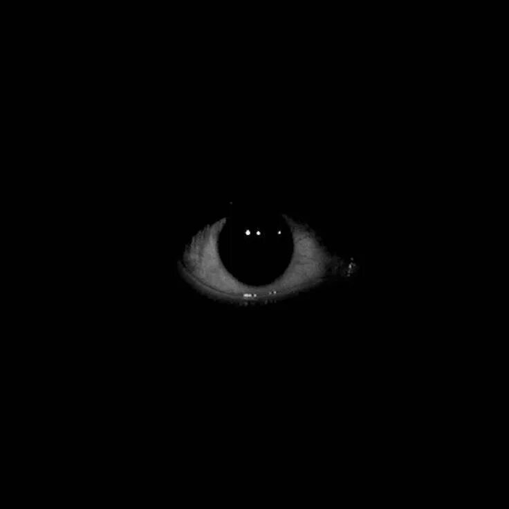 Dark eyed they were. Красивые фэнтези глаза. Холодные глаза. Темно фиолетовые глаза в темноте. Глаза в темноте.