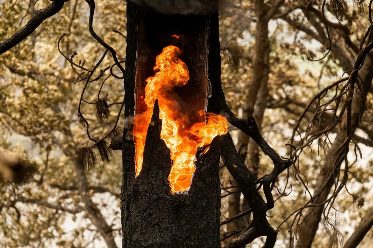 Burn inside