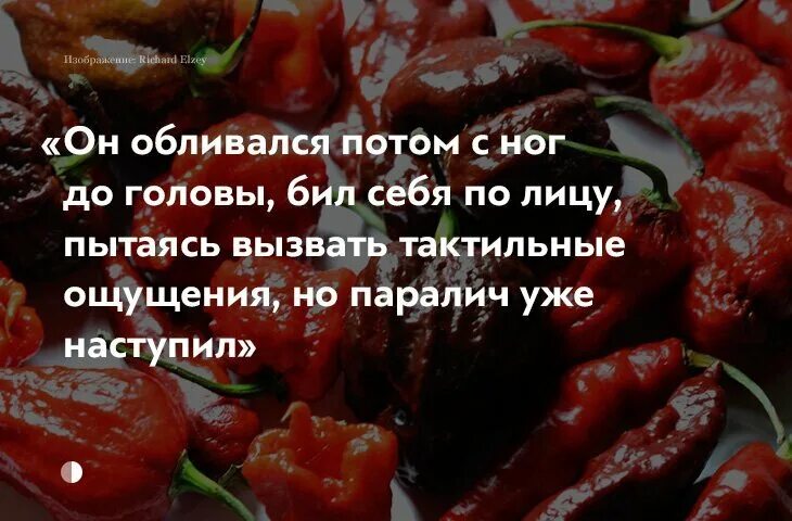 Любит острое. Люблю острое что это. Девушка с перцем чили. Почему люди любят острое. Любить острую еду это уметь.