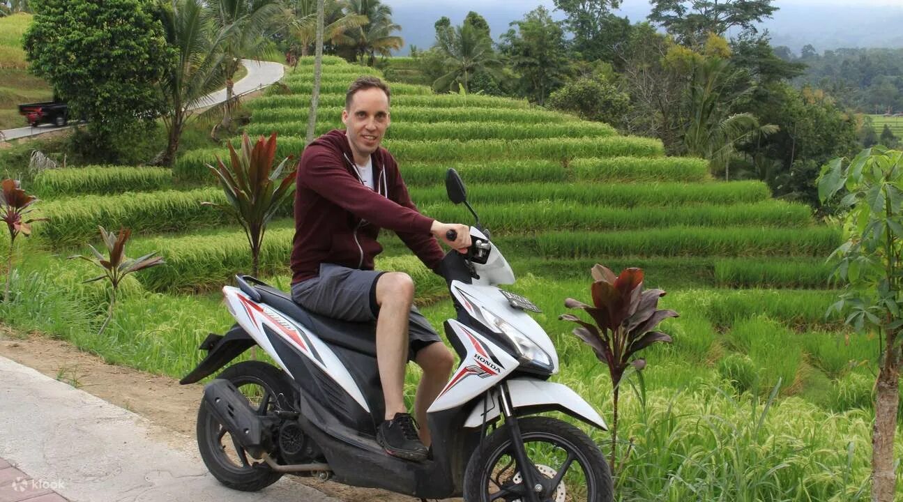 Снять скутер на кубе. Скутер на Бали. Скутер Литвин на Бали. Мопеды на Бали. Прокатные Мопеды на Бали.