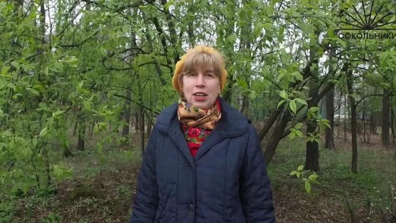 похолодало похолодало только черемуха