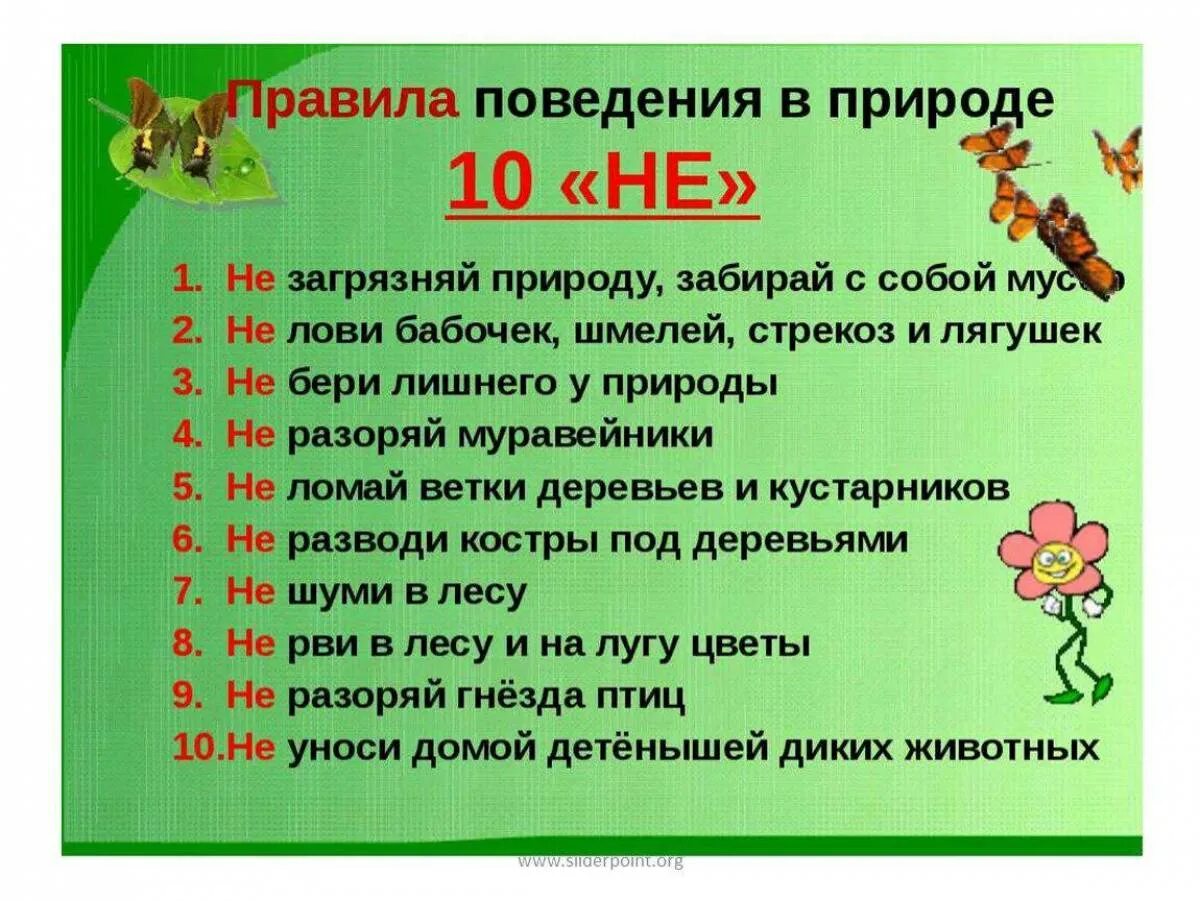 Назовите 3 правила безопасного поведения в лесу. Правила поведения на природе. павилапведенияв природе. правила поведения на приро. правила поведения вмприроде.