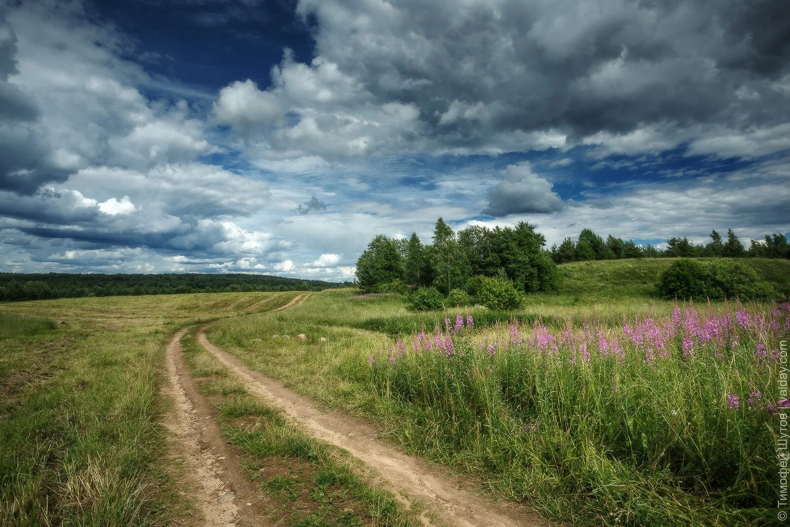 Ширь просторов. Ширь. Поля Ивановской области. Ширь полей. Русская ширь.