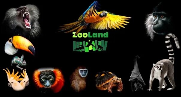 Zooland