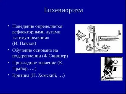 Личность как система реакций на различные стимулы