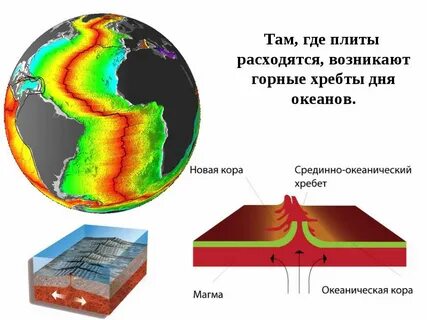Плиты коры