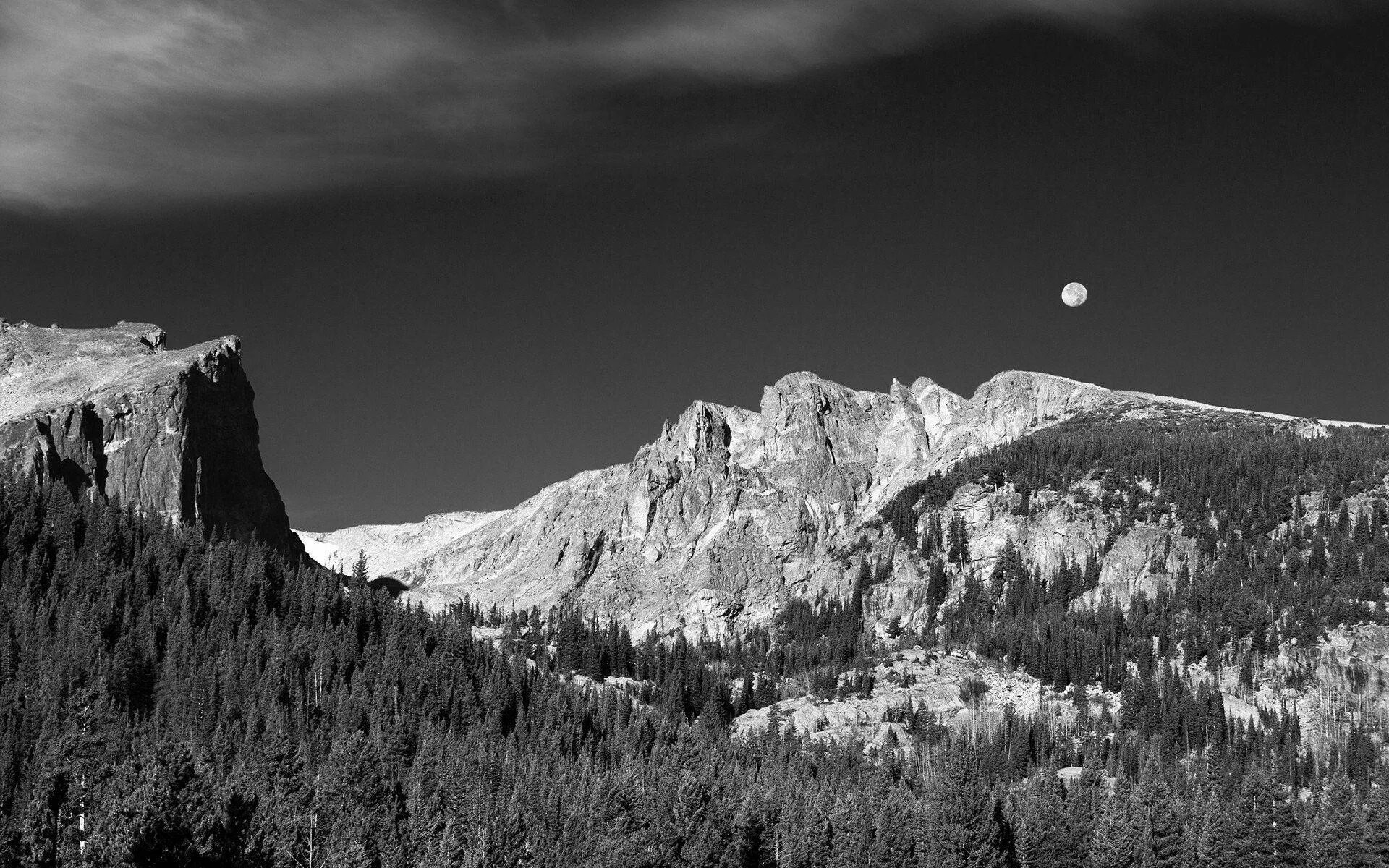 Grayscale