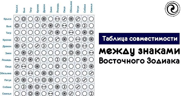 Совместимость крысы. Змея гороскоп совместимости. Змея гороскоп совместимости. Совместимость змеи. Дракон и крыса совместимость.