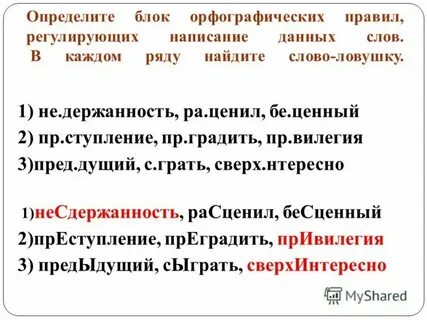 Туча пушкин тропы