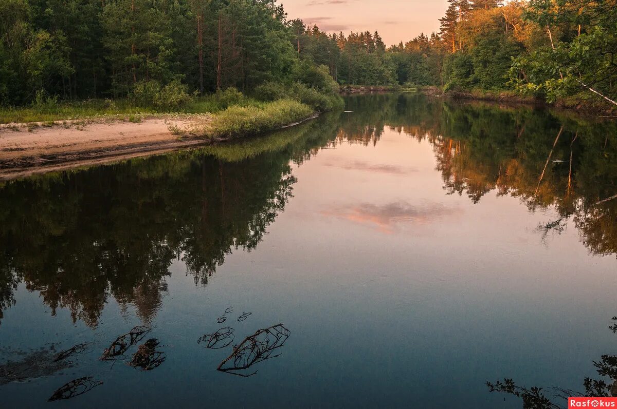 Река Мещера Рязань. Мещера город. Мещерские озёра Рязанская область. Мещерский край. Прелесть мещерского края