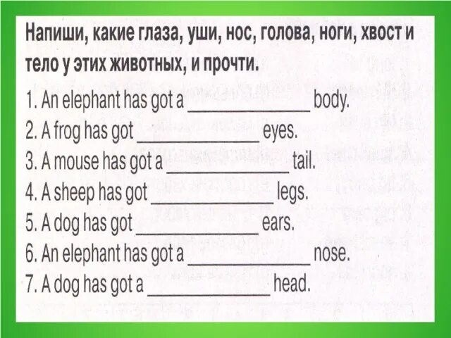 Have has упражнения 5 класс. Презентация Cows are funny 3 класс Spotlight. Части тела животных на английском языке упражнения. Have got has got описание животных. Урок по английскому языку 3 класс.