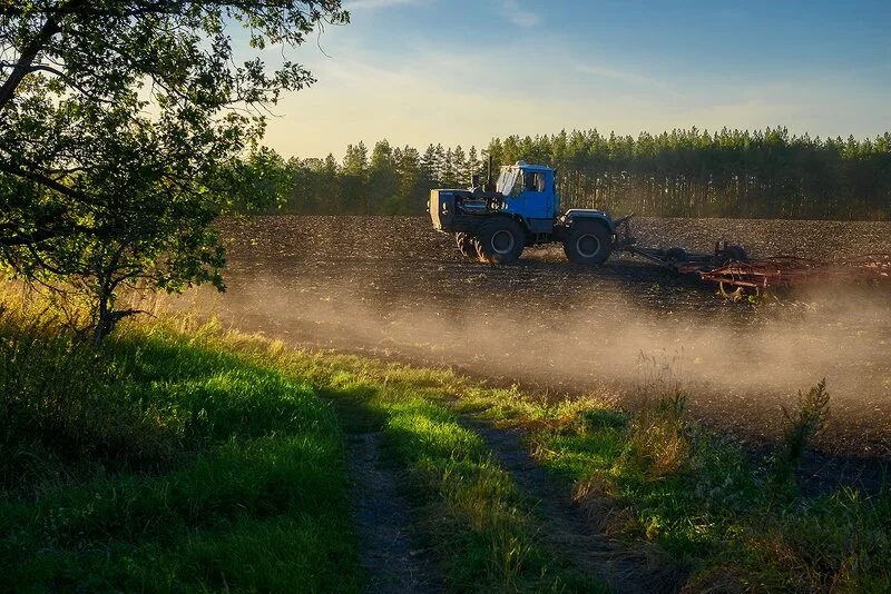 период полевых работ