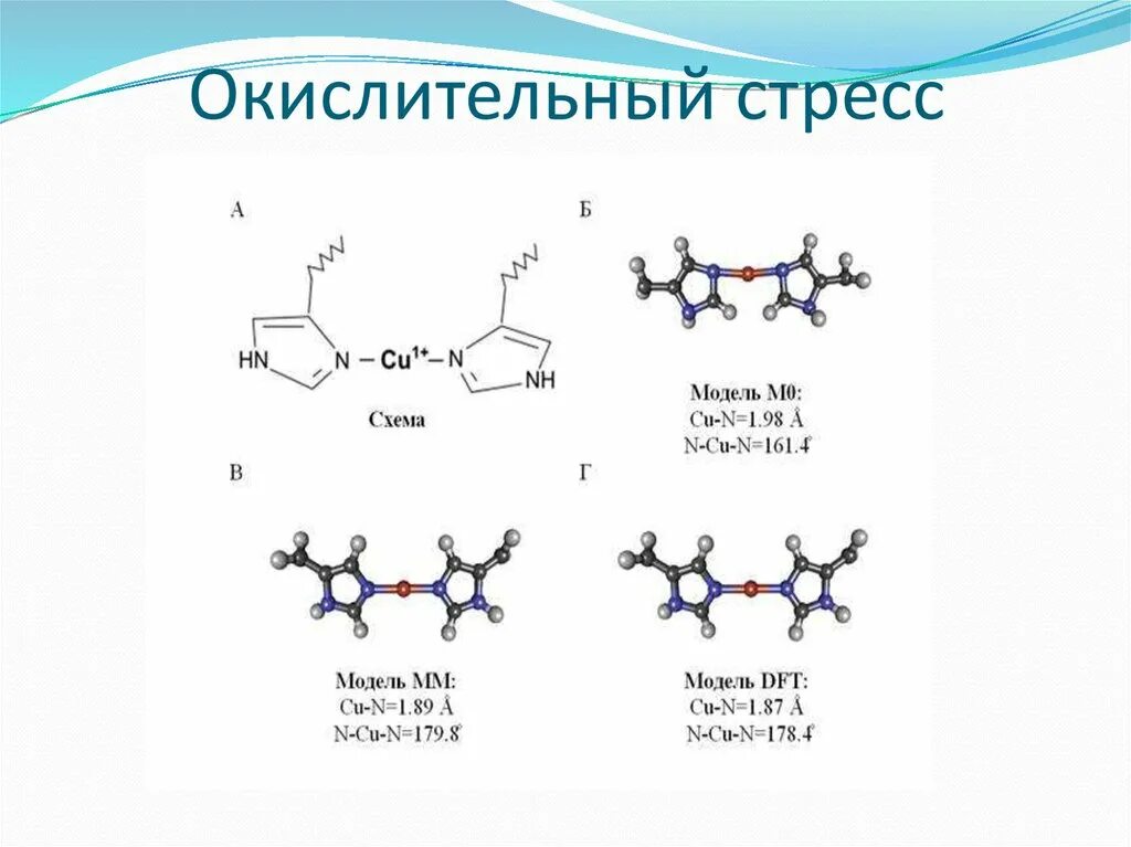 Окислительный стресс организма