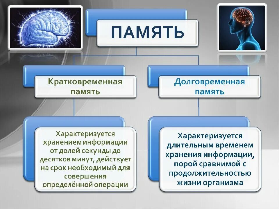 Память варианты. Виды памяти кратковременная и долговременная. Кратковременная долговременная и Оперативная память в психологии. Виды памяти долговременная кратковременная Оперативная. Кратковременная и долгосрочная память.