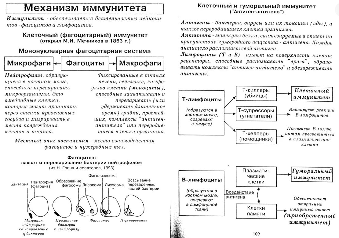 Анатомия человека в таблицах и схемах резанова. Биология человека в таблицах и схемах. Таблицах резановой. Справочник биология человека. Таблицах резановой.