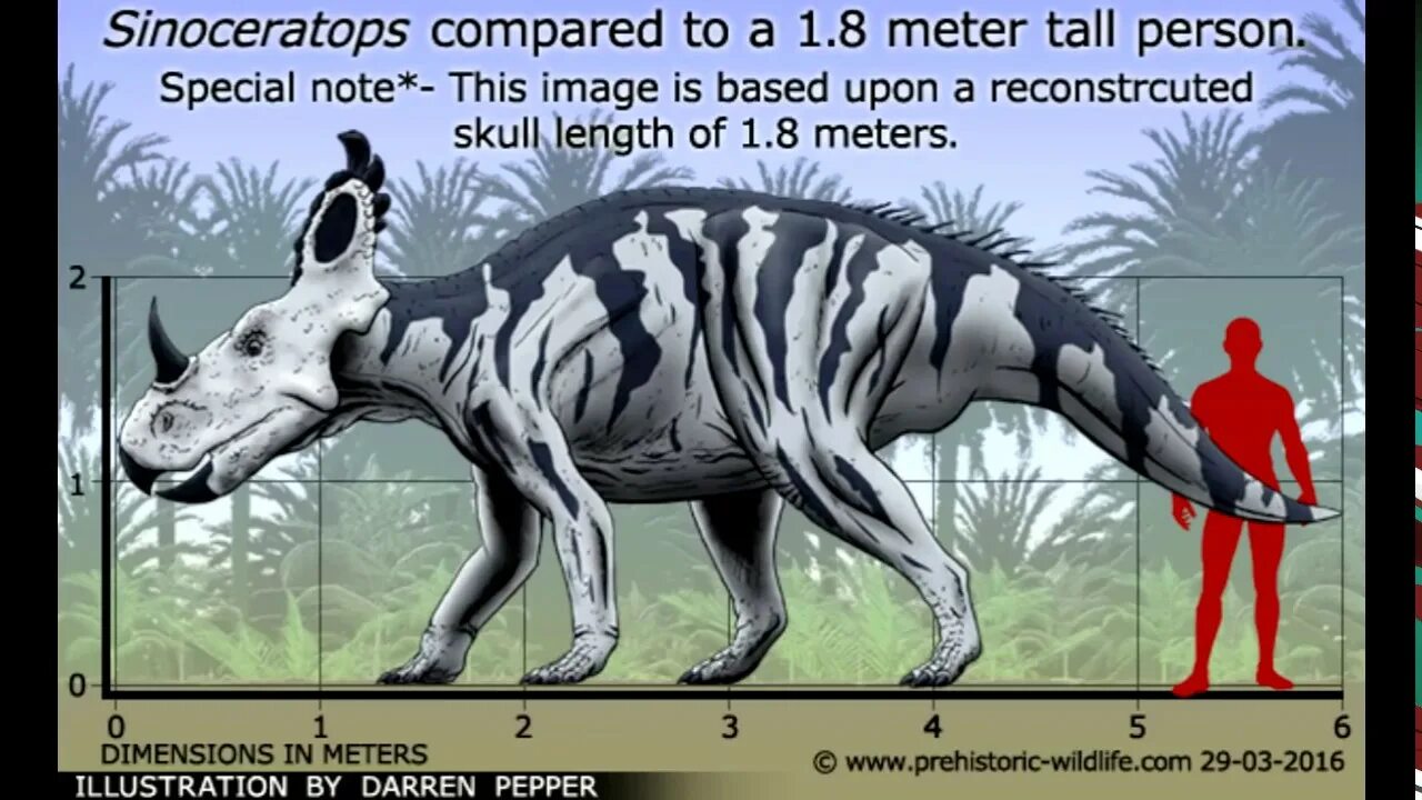 Small compared