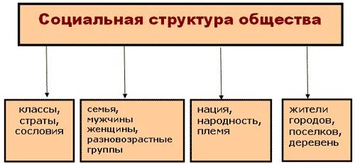 Социальная структура общества схема. Схема социальная структура общества с примерами. Социальная структура социального общества. Элементы социальной структуры общества схема. К компонентам социальной структуры общества относятся