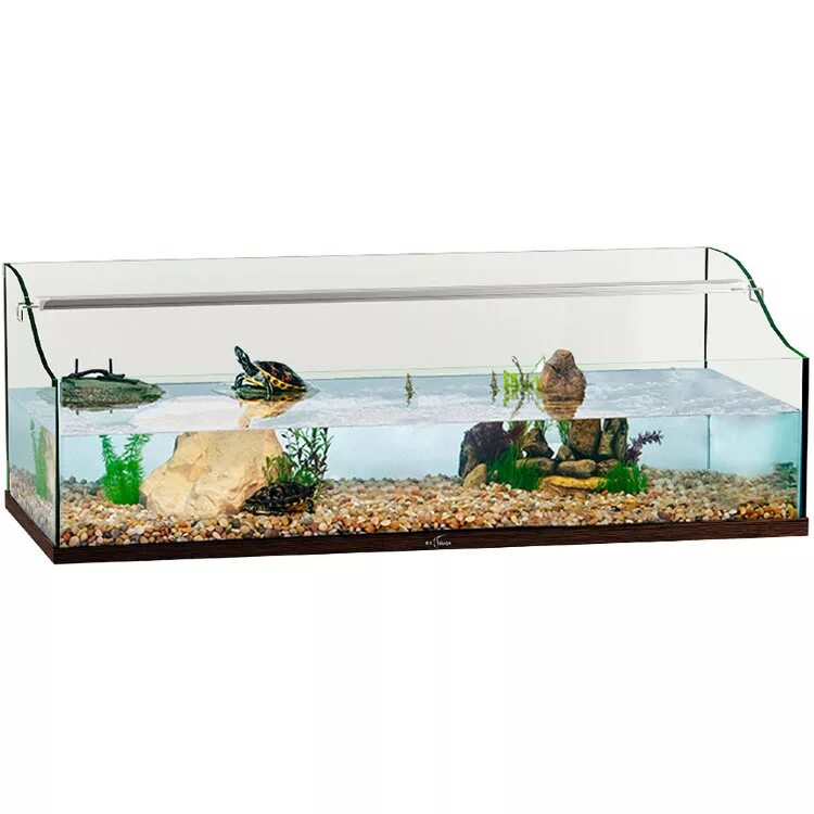 Террариум Biodesign Turt-House Aqua 120. Биодизайн палюдариум Turt-House Aqua 120. Террариум Биодизайн Turt-House Aqua 55 настольный для водных черепах. Акватеррариум Turt-House Aqua 55 для водных черепах (55*35*32 см). Магазин для черепах