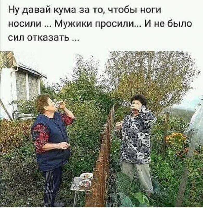 Веселые картинки про дачу. Огород карикатура. Шутки про огород. Анекдоты про дачу в картинках. Смешное про огород.
