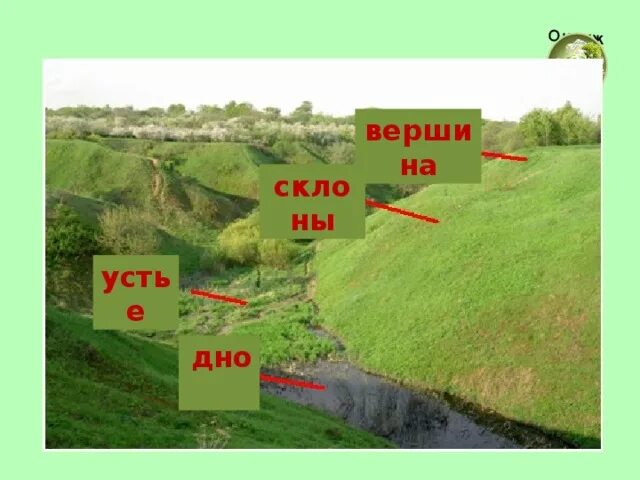 Правописание приставок пол и полу. По свойски как пишется. Как пишется слово или овраг. Предложение со словом пол полу. Овраги в воронеже.