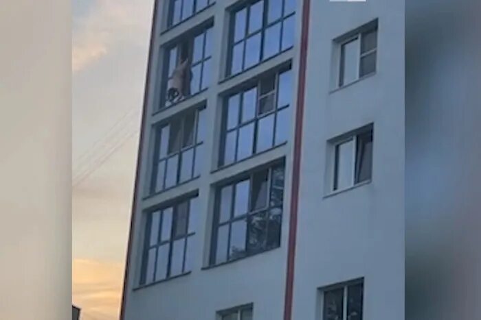 Улица из окна. Балкон ч улицы. Женщина выпала из окна в самаре 4е. Упал из окна самара. В самаре ребенок выпал из окна.