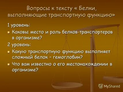 Каковы место и роль
