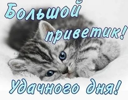 Красивый привет парню