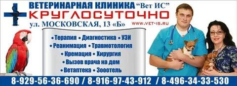 Ветеринарная на дом круглосуточно