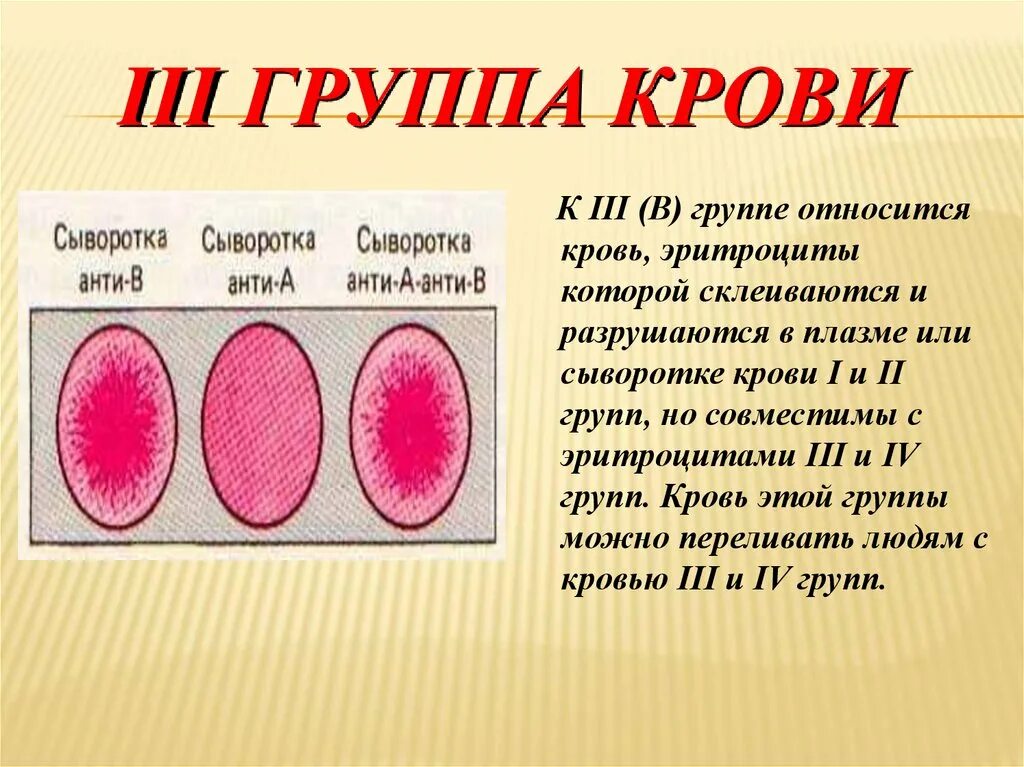 Группа крови звезда. 3 Группа крови. Особенности 3 группы крови. Крор группы. Группа крови 3 группа.