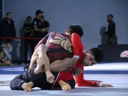 Чемпионат по грэпплингу 2024 астана