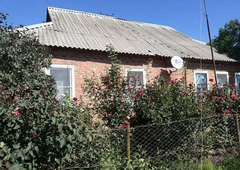 Орловка ставропольский край буденновский район. Авито орловка. Авито орловка. Коммаяк ставропольский край квартиры. Церковь зеленолугский мартыновский район.