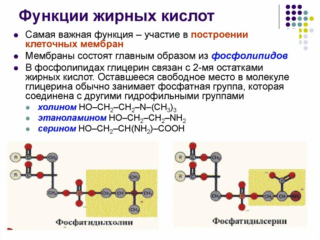 Какая кислота в организме человека. Классификация жирных кислот биохимия. биологическая роль насыщенных жирных кислот. функции жирных кислот биохимия. насыщенные жирные кислоты функции в организме.
