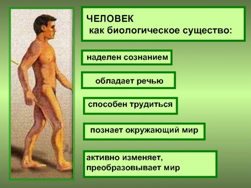 Мантикора гарри поттер. Существо обладающее речью. Человек это социально биологическое существо. Отличие человека от другого человека. Существо обладающее речью.