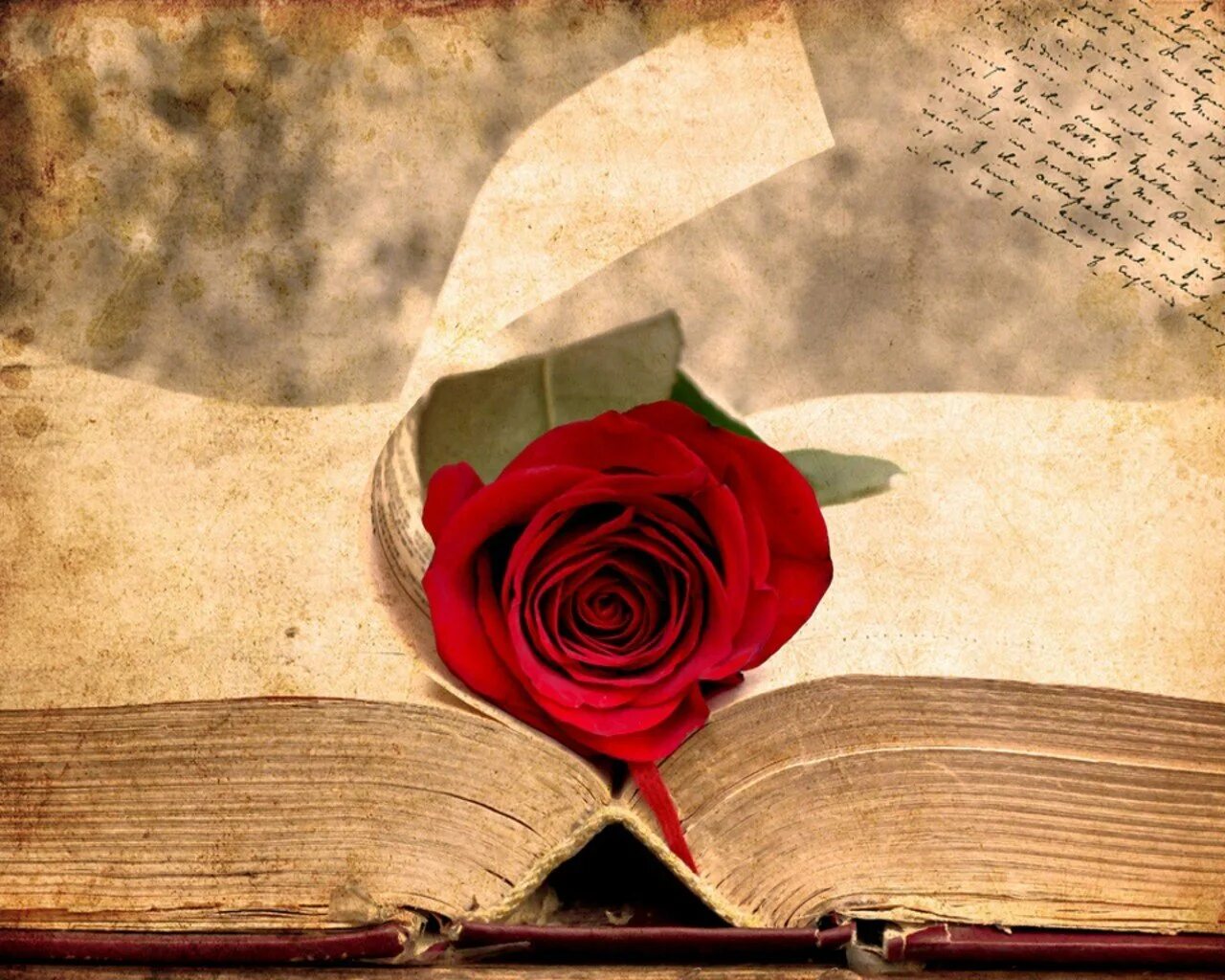 День поэзии фон. Цветы на старой бумаге. Книга цветы. Книги на фоне цветов.