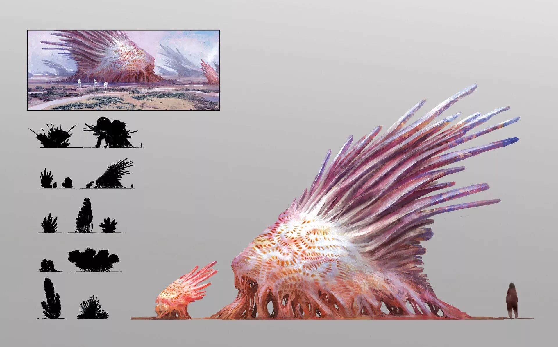 Формы жизни на земле. Самые красивые бактерии. Микромир под микроскопом. Неклеточные формы жизни. Красивые бактерии.