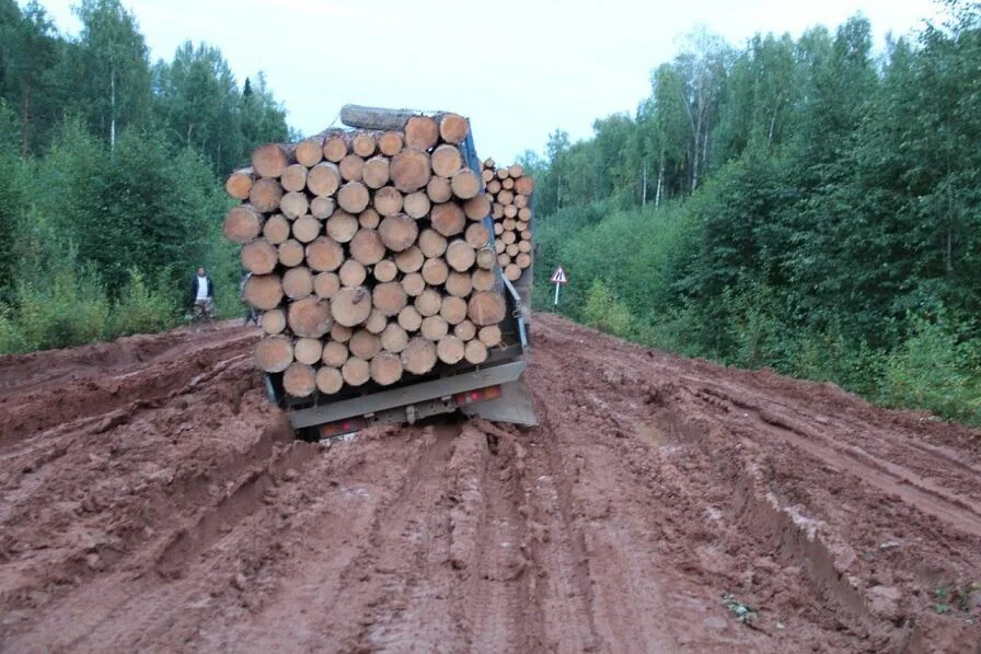 Пельмин Бор Гайнский район. Барахолка Гайны. Авито Гайны. Tutusik92 Гайны.