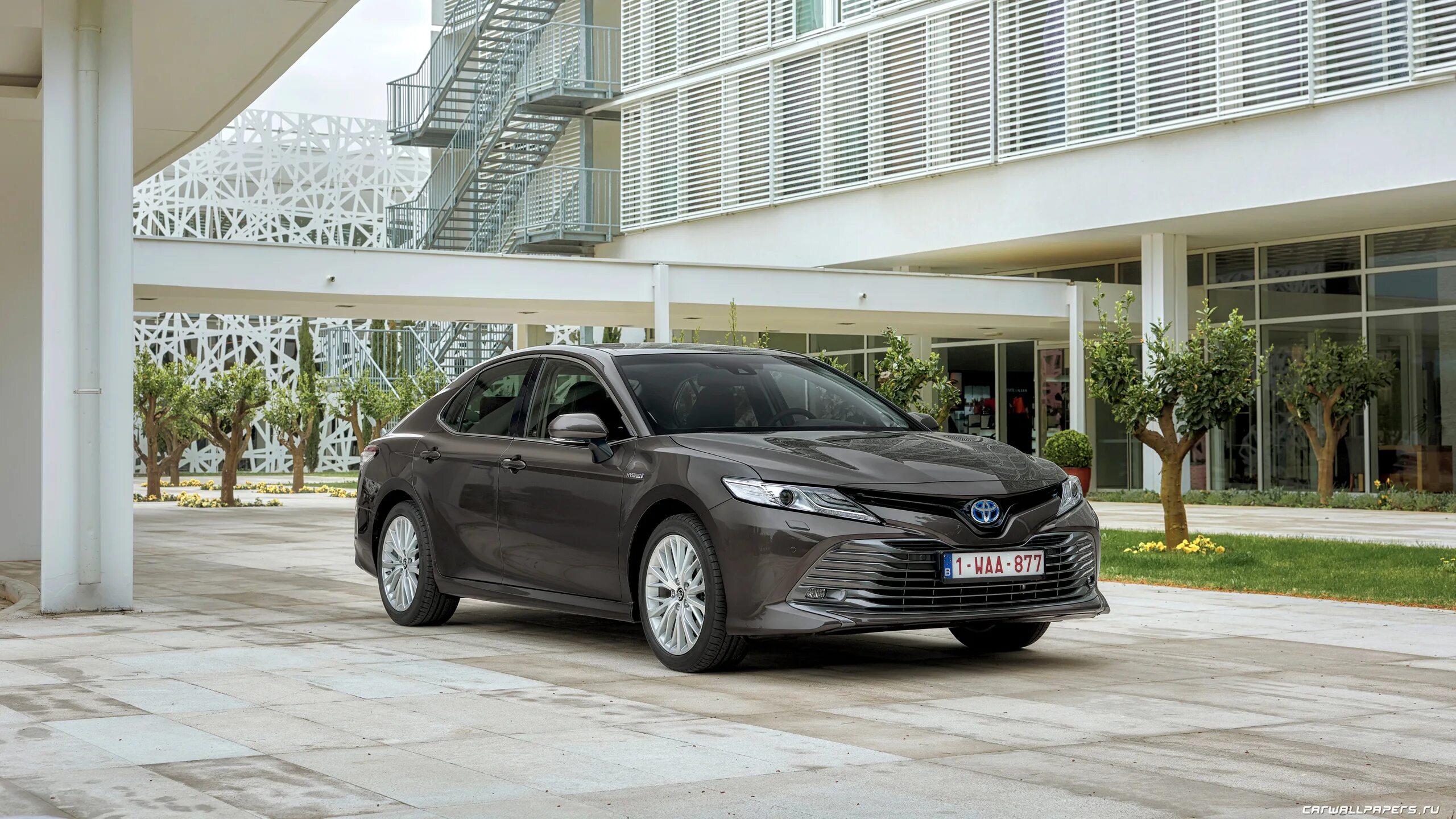 Toyota Camry 2022. Toyota Camry Hybrid 2022. Toyota Camry xv70. Toyota Camry Hybrid 2019.