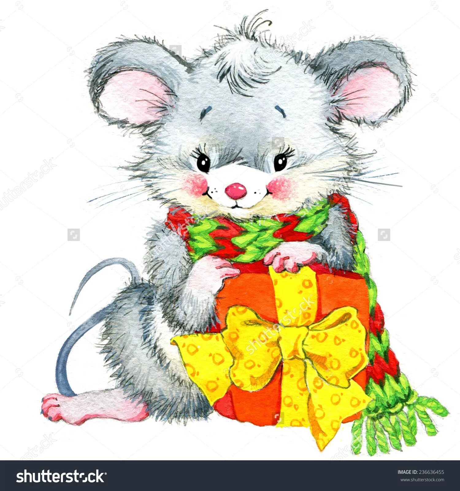 Раскраска мышка. Мышка года рисунок. Крыска рисунок. Мышка года рисунок. Мышь раскраска для детей.