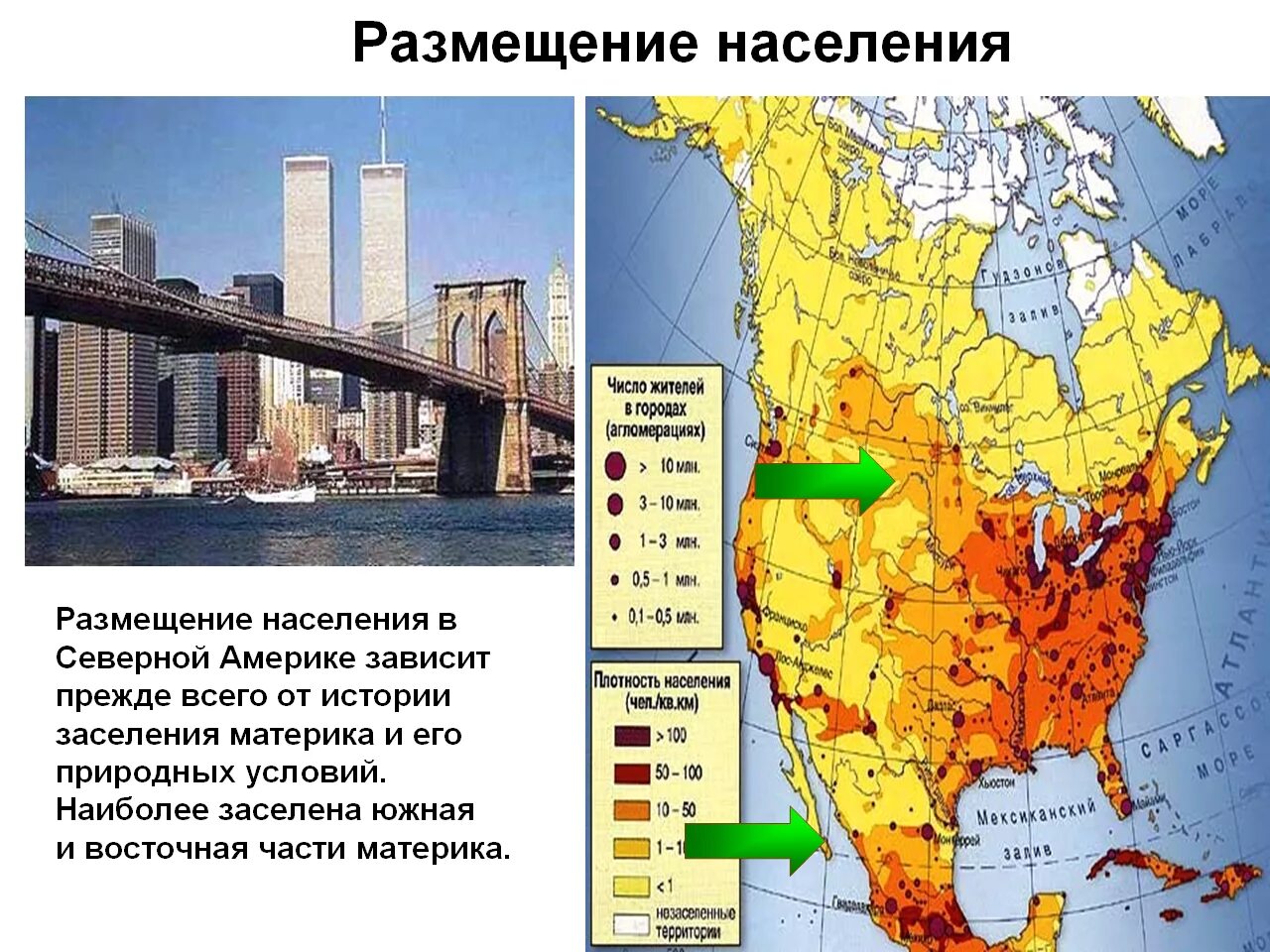 Население сша география 7 класс. Карта плотности населения Северной Америки. Схема населения Северной Америки 7 класс география. Плотность населения Латинской Америки по странам. Хозяйственная деятельность Северной Америки карта.