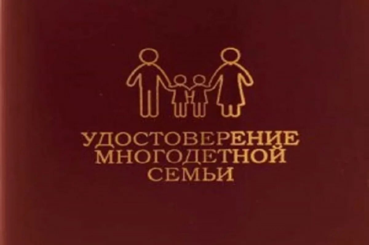Единый статус многодетных в 2025. Единый статус многодетных в 2025