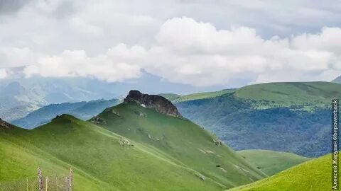 Гум баши