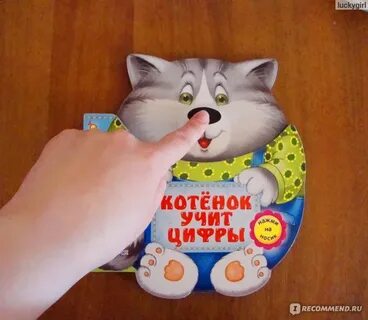 Учи кошки