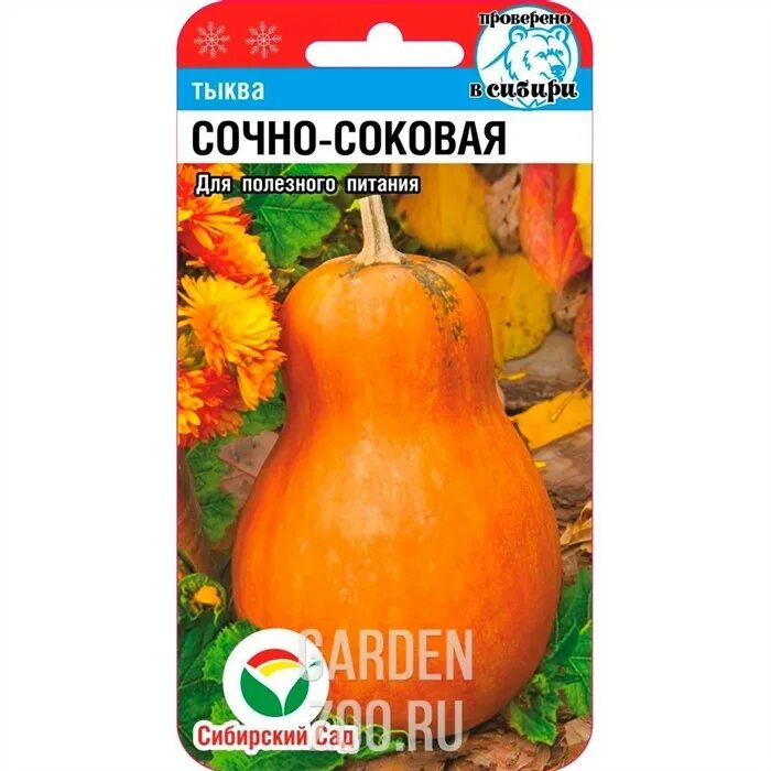 Тыква сибирский сад. Тыква конфетка. Россиянка 5шт тыква (. Тыква сибирский сад. Тыква грибовская зимняя.